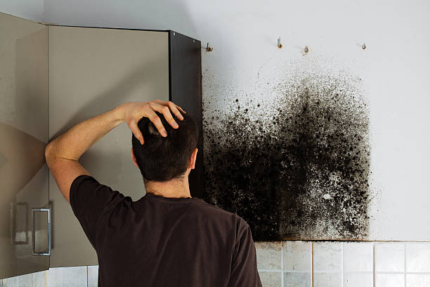 Mold Remediation for Specific Building Types